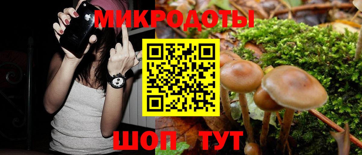Галлюциногенные грибы Psilocybe  Вход с VPN  Касимов  Галлюциногенные грибы GOLDEN TEACHER 
